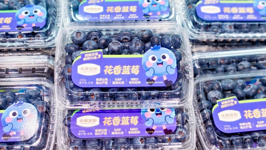 不凡成就非凡 · 卓越之路