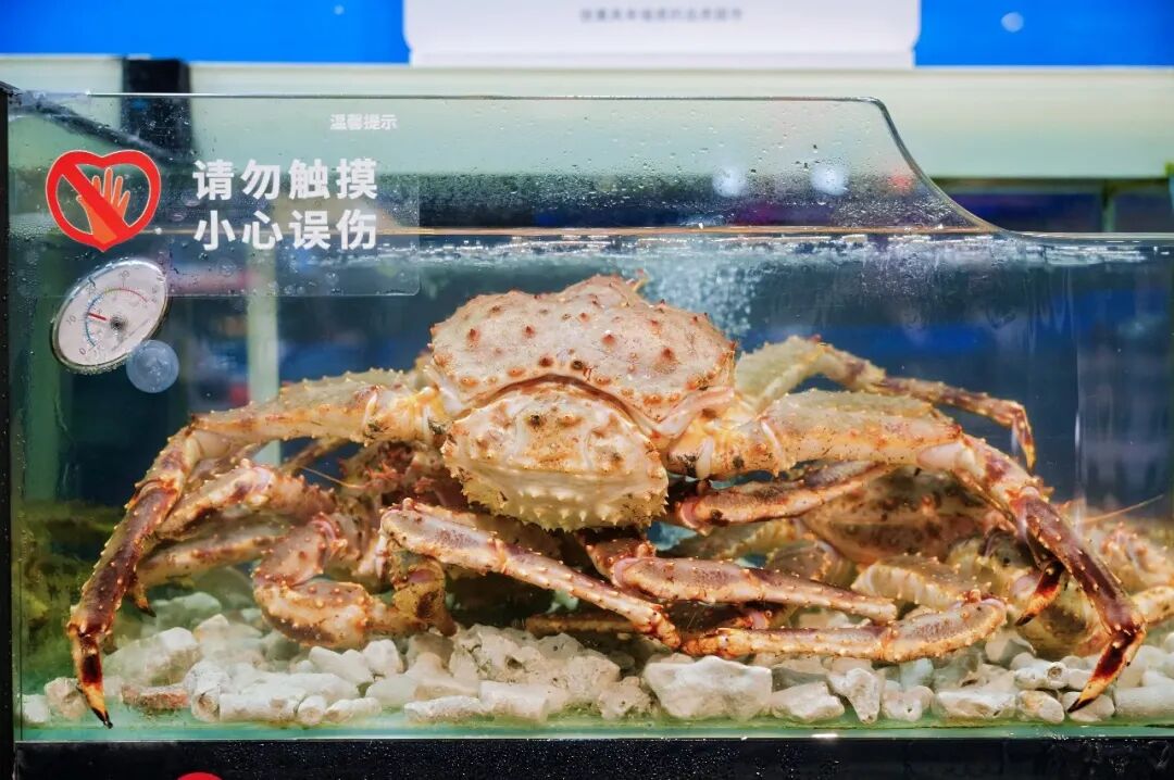 不凡成就非凡 · 卓越之路