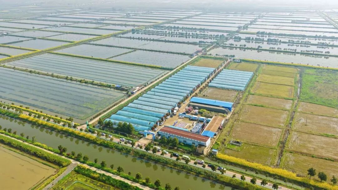 不凡成就非凡 · 卓越之路