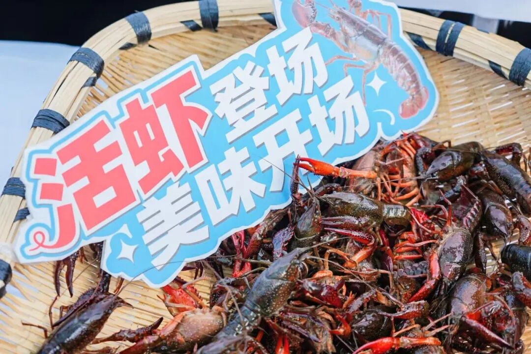 不凡成就非凡 · 卓越之路