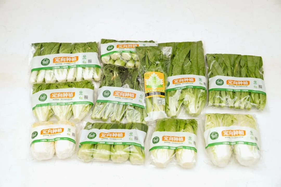 不凡成就非凡 · 卓越之路