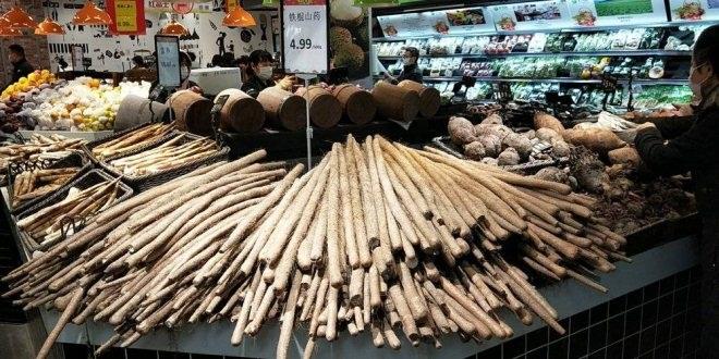 不凡成就非凡 · 卓越之路