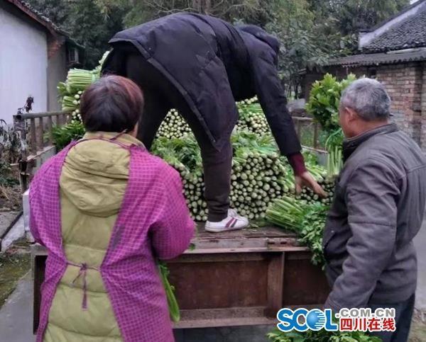 不凡成就非凡 · 卓越之路