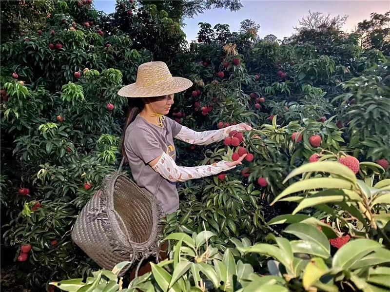 不凡成就非凡 · 卓越之路