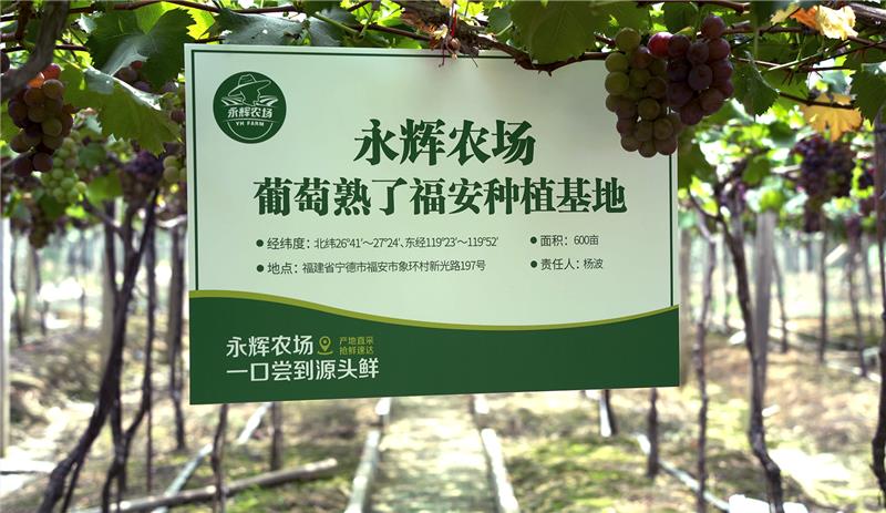 不凡成就非凡 · 卓越之路