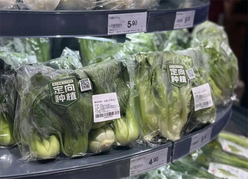不凡成就非凡 · 卓越之路